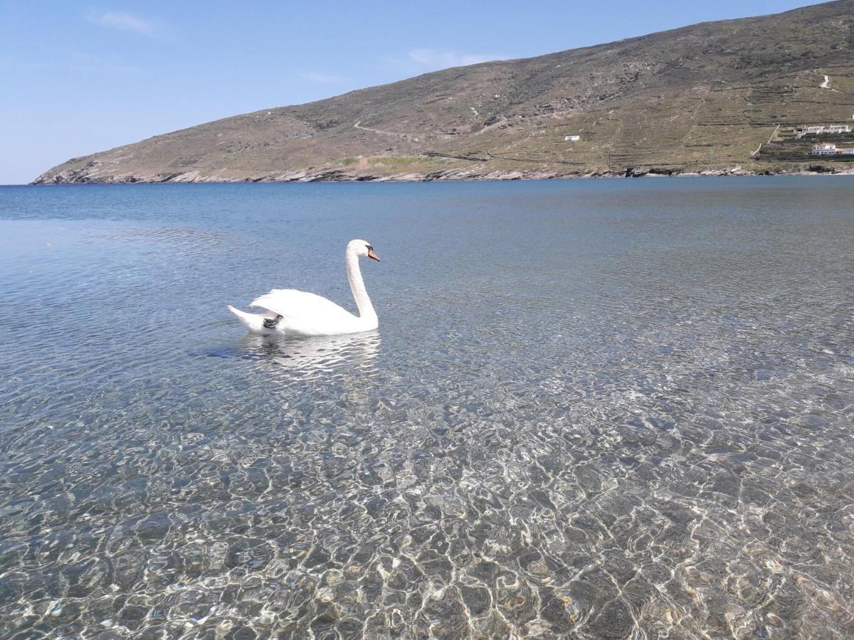 Liopi Village Andros Ormos  Extérieur photo